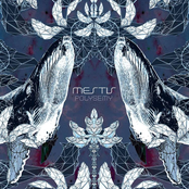 Mestis: Polysemy