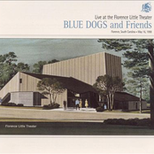 Instant Armadillo Blues by Blue Dogs