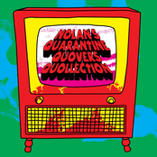Nolan's Quarantine Quovers Quollection