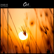 Sun Flower