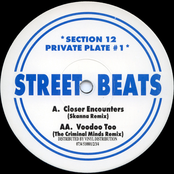 Section 12 Private Plate #1