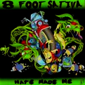 Grown Aggression by 8 Foot Sativa