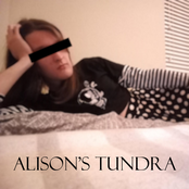 Alison's Tundra