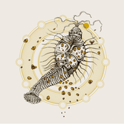 Suma / Ultraphallus