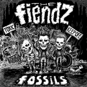 Fossils