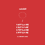 C'est La Vie (feat. Innanet James) - Single
