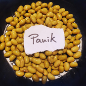 Panik