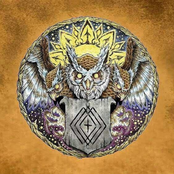 Order Of The Owl: We Are Here To Collect Our Crown