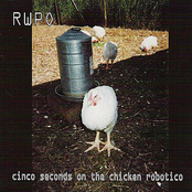 cinco seconds on the chicken robotico