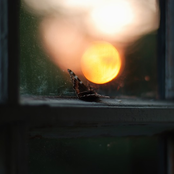 Until The Last