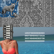 Hyena Carpets 5: Things come together