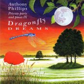 Private Parts & Pieces IX - Dragonfly Dreams Artwork