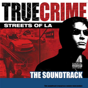 True Crime: Streets of LA