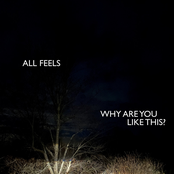 Why Are You Like This?