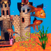 Ani Difranco: Little Plastic Castle