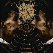 We're Packing, Are You