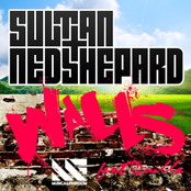 Sultan and Ned Shepard: Walls