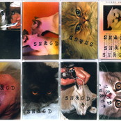 Sensible Nectar/Gorgonized Dorks split c62