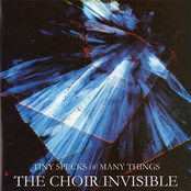 The Choir Invisible