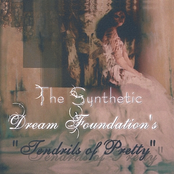 How Love Remembered Lavender by The Synthetic Dream Foundation