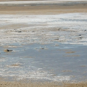 Miscellaneous 1995-2007