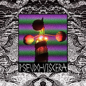 Pseudo-Viscera: DIY Taxidermy for Beginners