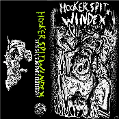 Hooker Spit Windex "Same Shit, Same Pants: Discography"
