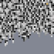 Freestyle Beard and the Imperial Moustache