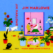 Mirror Green Rotor in Profile