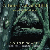 a forest called mulu