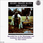 Negro Prison Blues and Songs