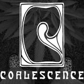 Coalescence