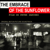 BSO - THE EMBRACE OF THE SUNFLOWER
