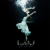 Goodbyes Without Goodbye