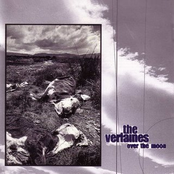 When I Fall by The Verlaines