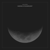 Dancing In The Moonlight