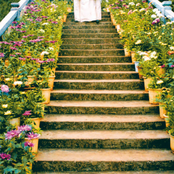 15 Songs (Down at Jinxey's)