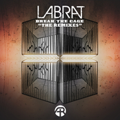 Break The Cage - The Remixes