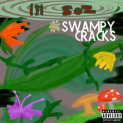 Swampy Cracks