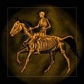 Trigger Finger - Single