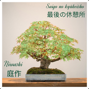 Saigo no kyūkeisho 最後の休憩所