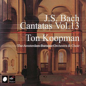 J.S. Bach Cantatas Vol. 13