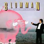 Jag Har Fått En Elefant