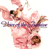 Just Like You by Voice Of The Beehive