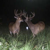 i hope everything goes well