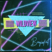 Wildview: BoogieFoot