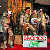 bronco en vivo