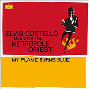 elvis costello/the metropole orchestra