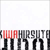 Kiwa Hirsuta