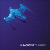 Whipping Boy by Shearwater